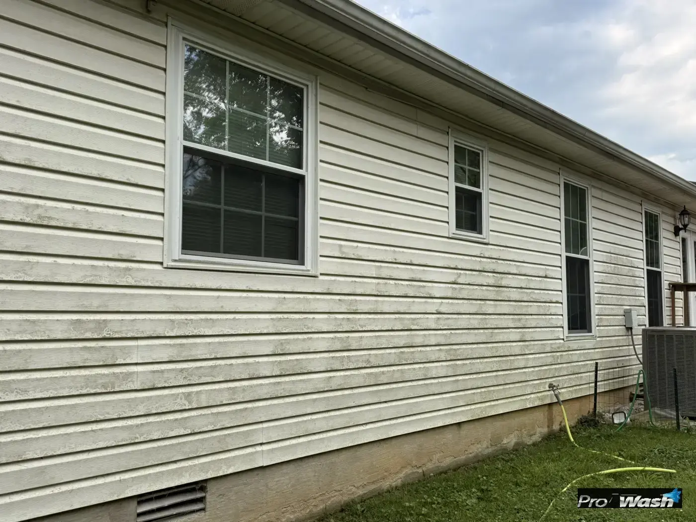 Faded vinyl siding on the side of a single-story home covered in heavy green algae and weather streaks before pressure washing