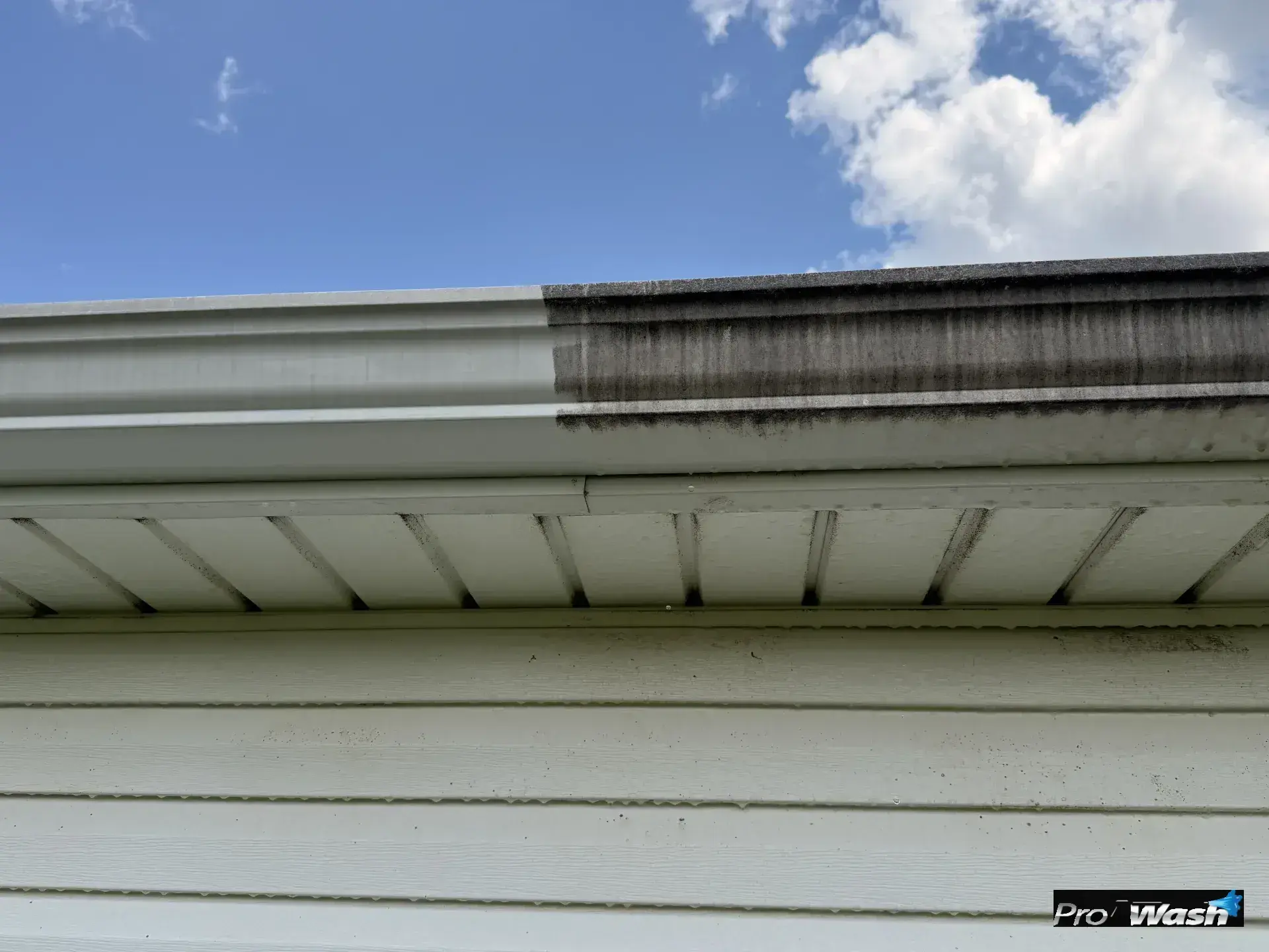 Gutter Cleaning in Nicholasville