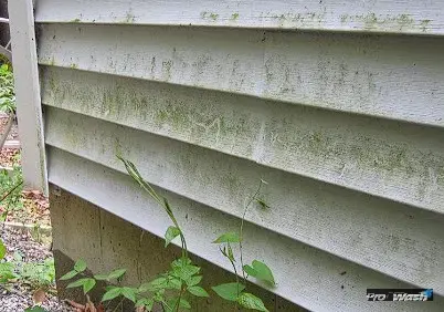 House Washing in Lexington, KY