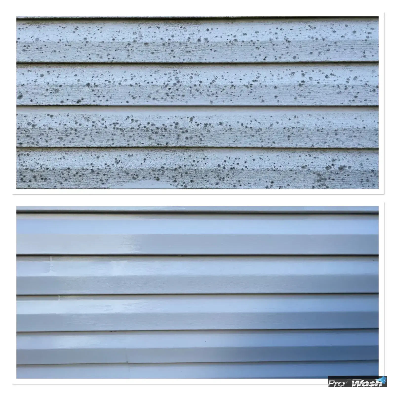 Whiskey fungus on the vinyl siding of a Lawrenceburg home before pressure washing.