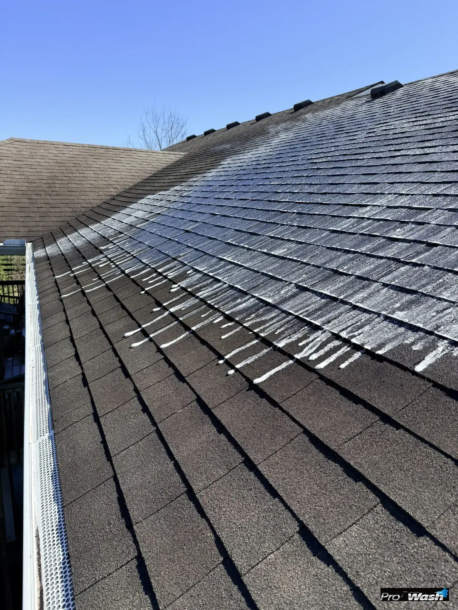 Black algae streaks on asphalt shingle roof before soft wash cleaning in Lexington Kentucky