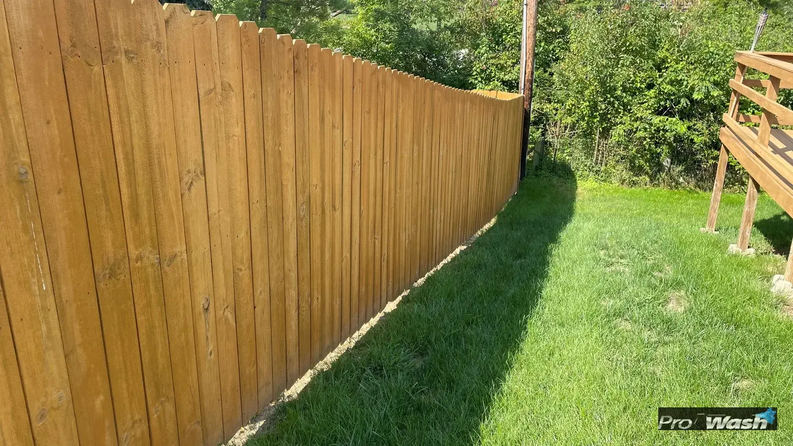 A residential cedar fence after cleaning and re-staining.