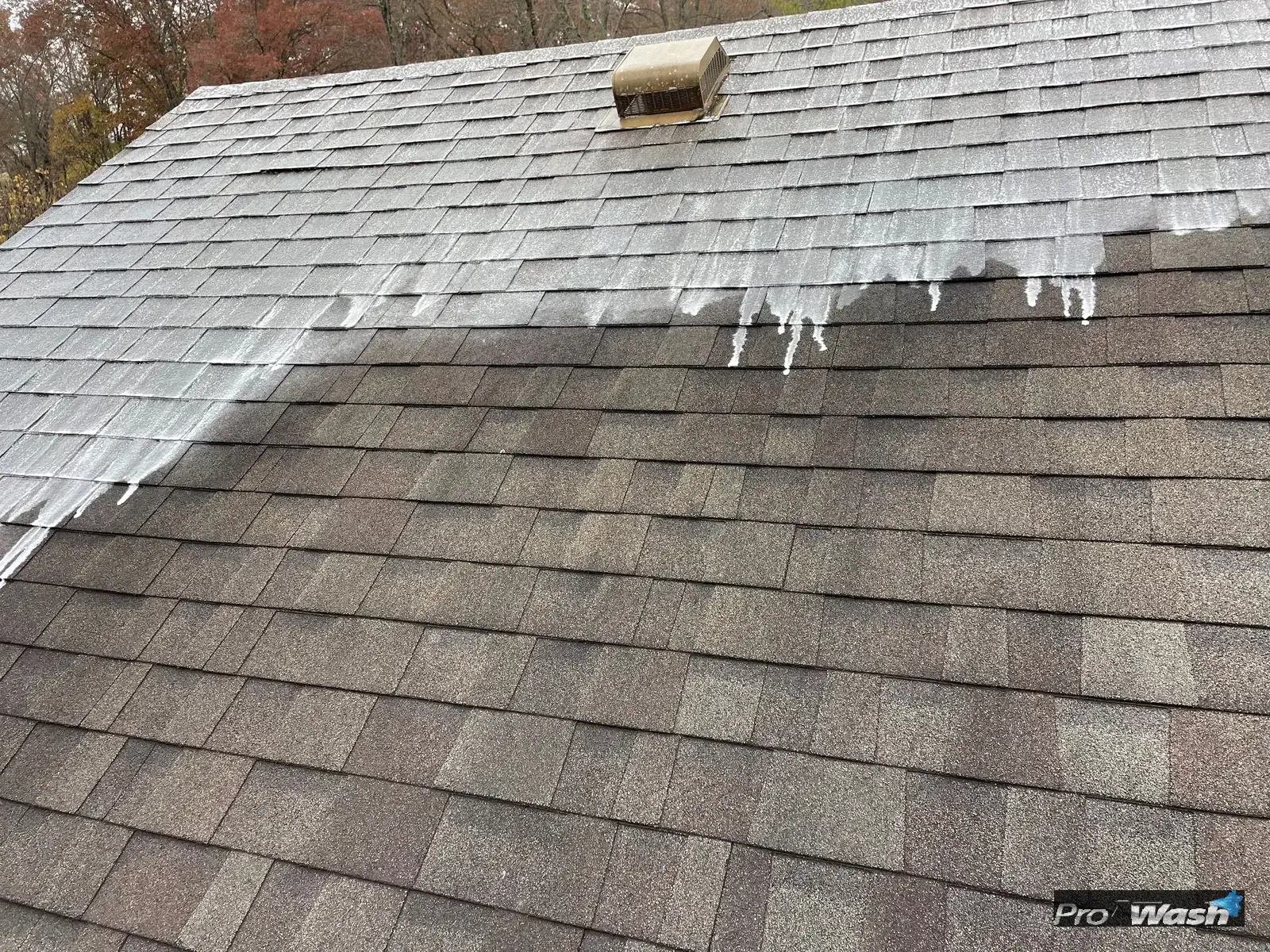 Soft wash cleaning solution being applied to a residential roof in Lexington, KY.