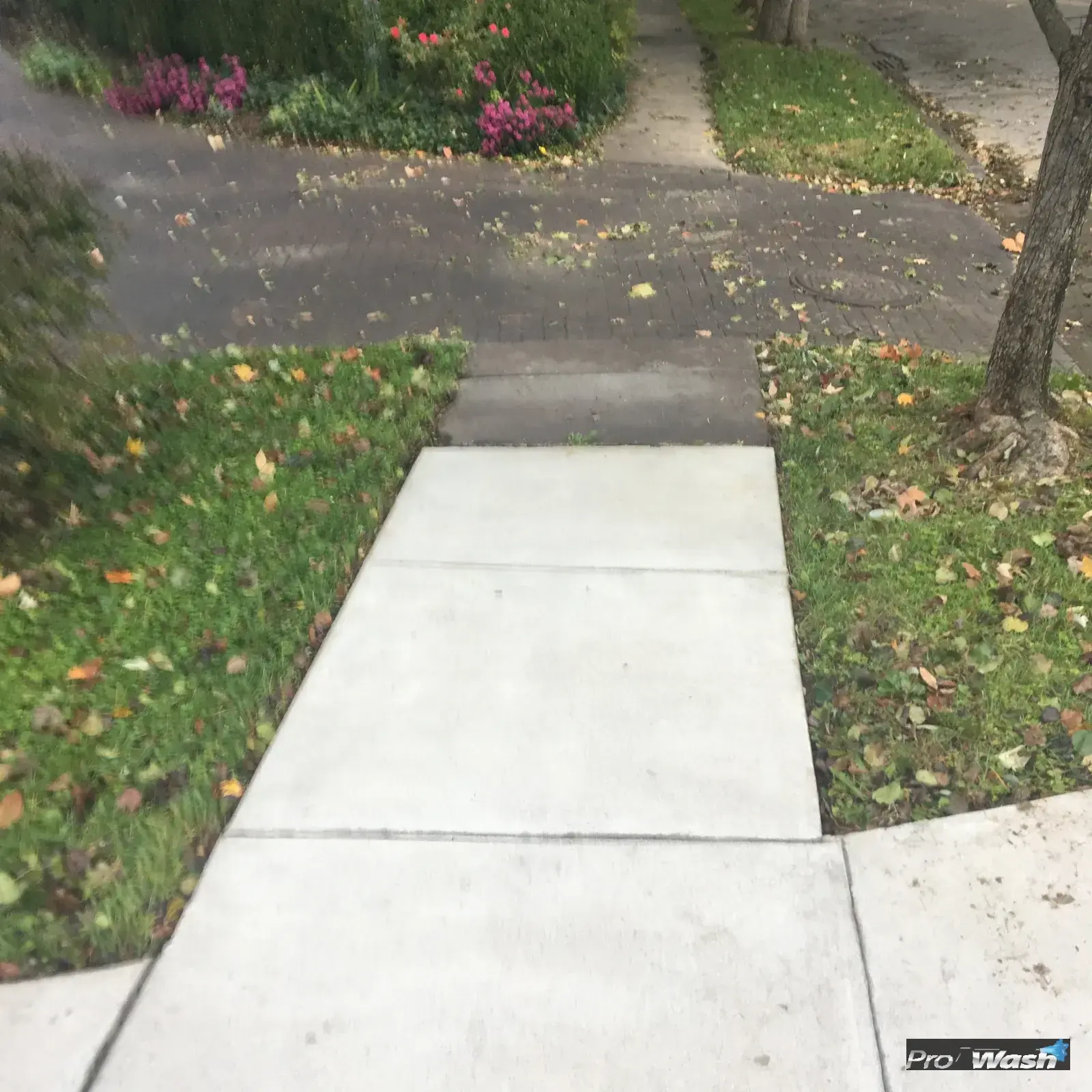 A sealed concrete driveway in central Kentucky with even color and clean edges.