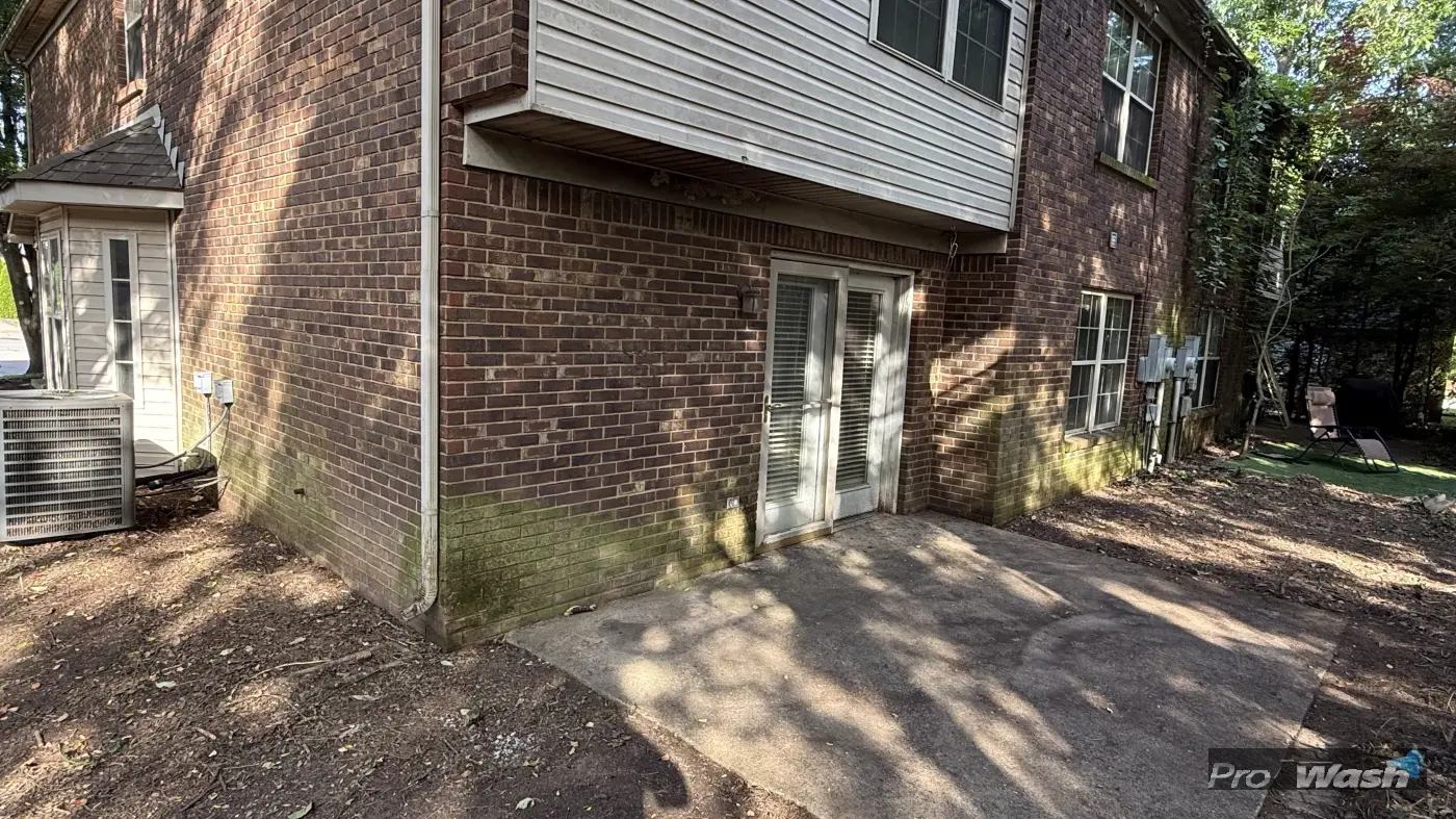 Before removing algae from this brick house.