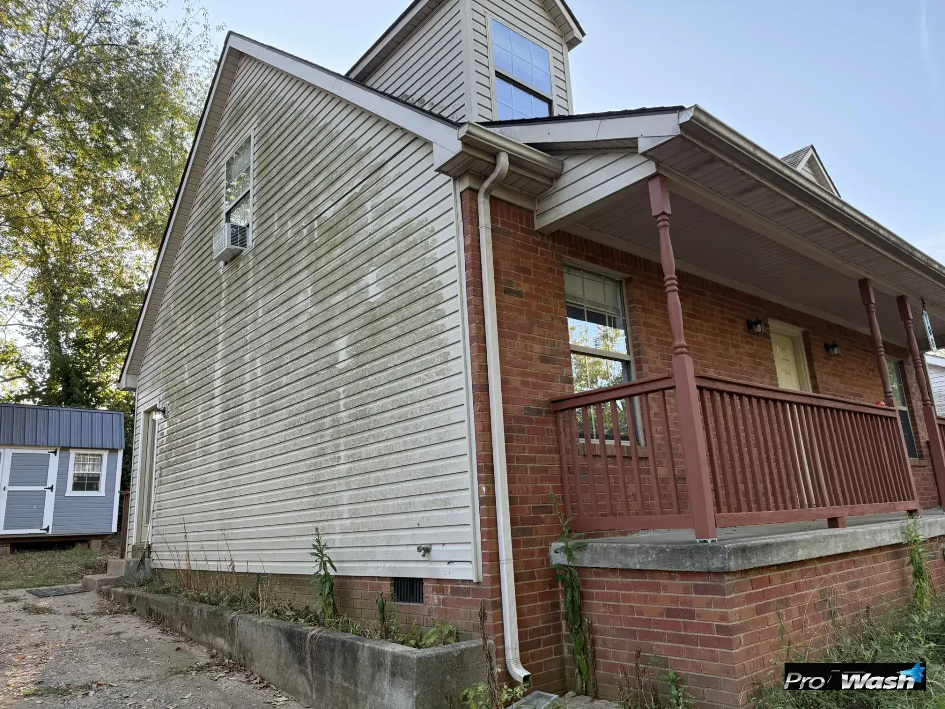 Dirty siding before we soft washed it