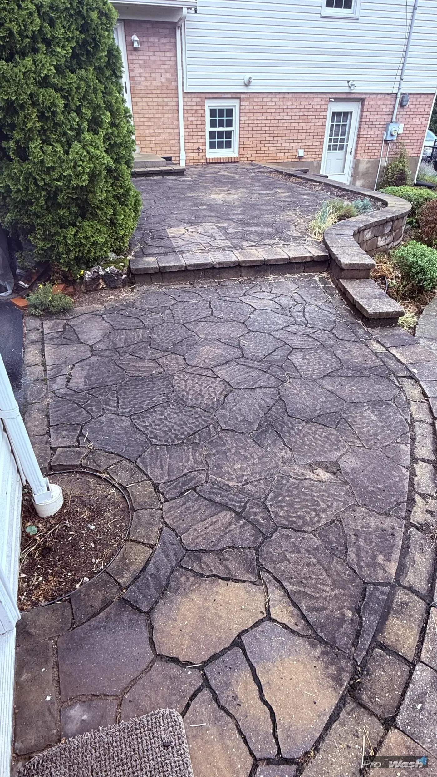 These pavers were really built up with algae and debris before I cleaned them.