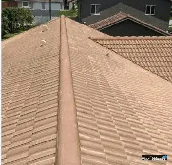 Clean roof with restored shingles after soft wash treatment
