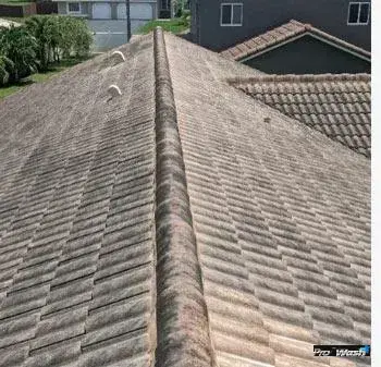 Roof with black algae streaks and moss growth before cleaning