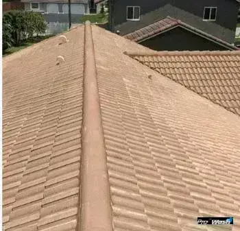 Clean roof with restored shingles after soft wash treatment