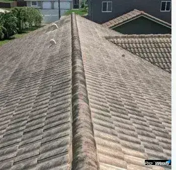 Roof with black algae streaks and moss growth before cleaning