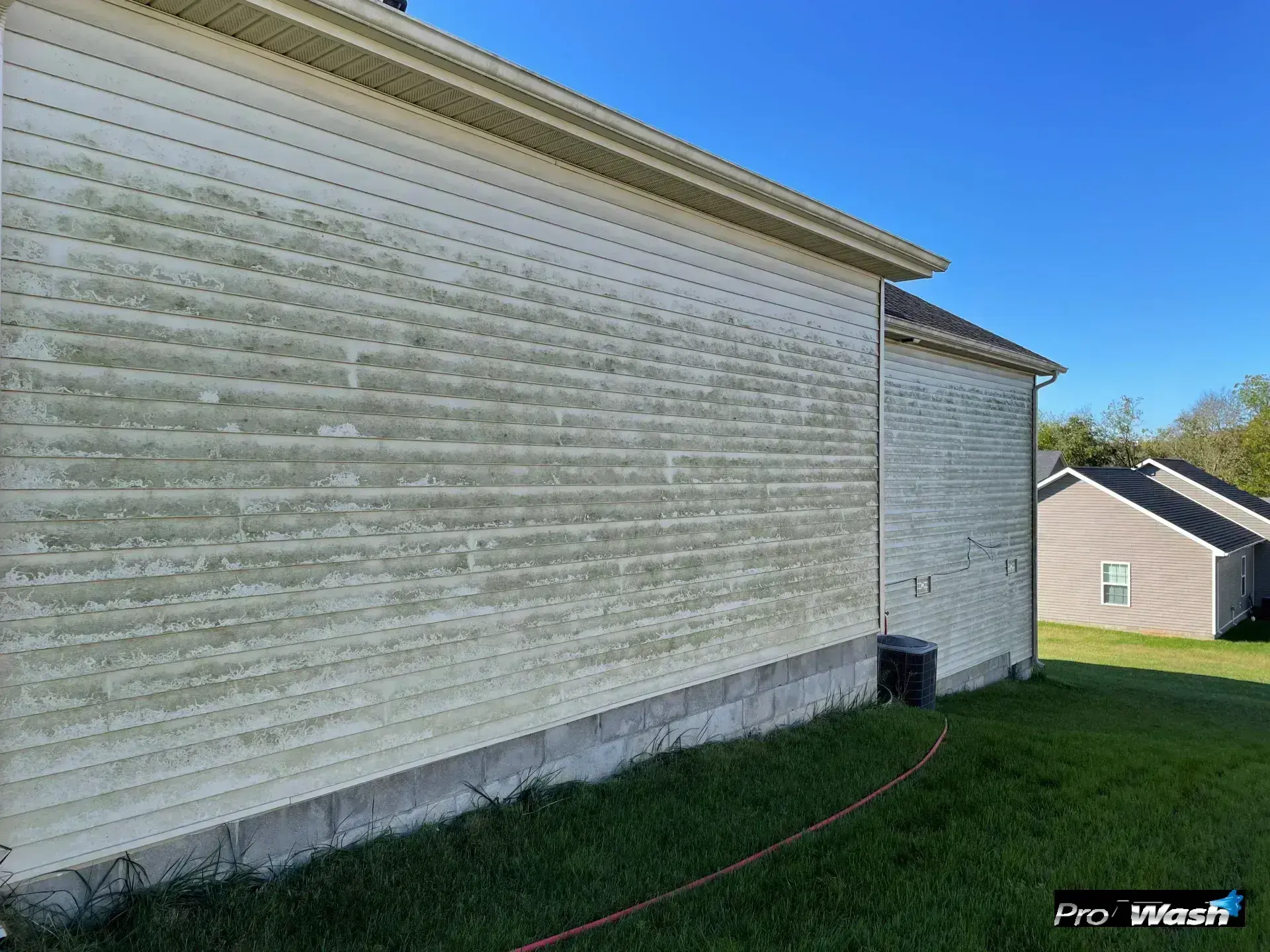 Exterior siding of a single-family home covered in green algae and dark mold stains before soft washing treatment.