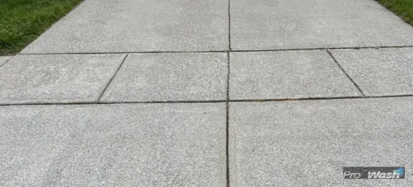 Before & After Driveway Cleaning after - Lexington