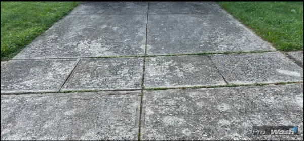 Before & After Driveway Cleaning before - Lexington