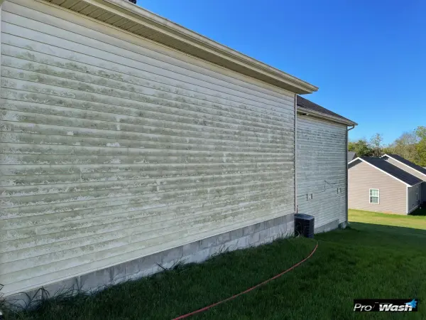 Single-Family Home Exterior Soft Wash before cleaning