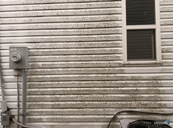 Vinyl Siding Cleaning in Georgetown before - Georgetown