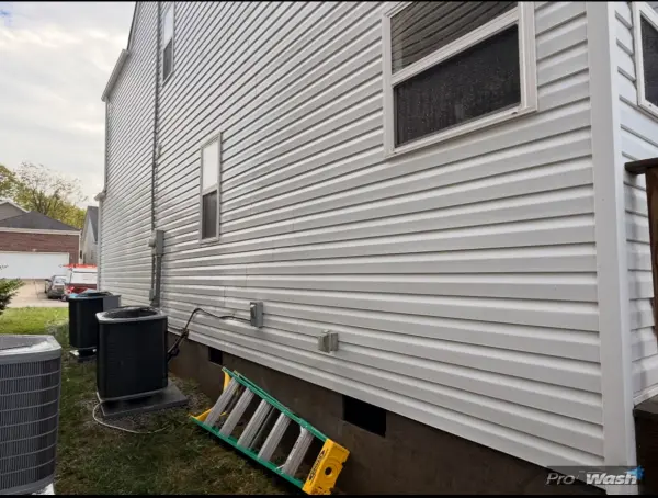 Vinyl Siding Cleaning in Hamburg after - Lexington