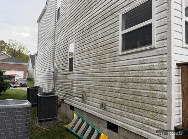 Vinyl Siding Cleaning in Hamburg before - Lexington