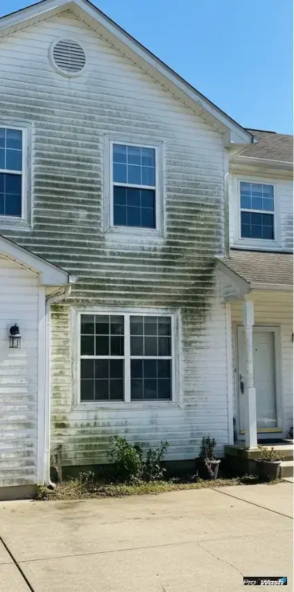 Look at this dirty grimy house