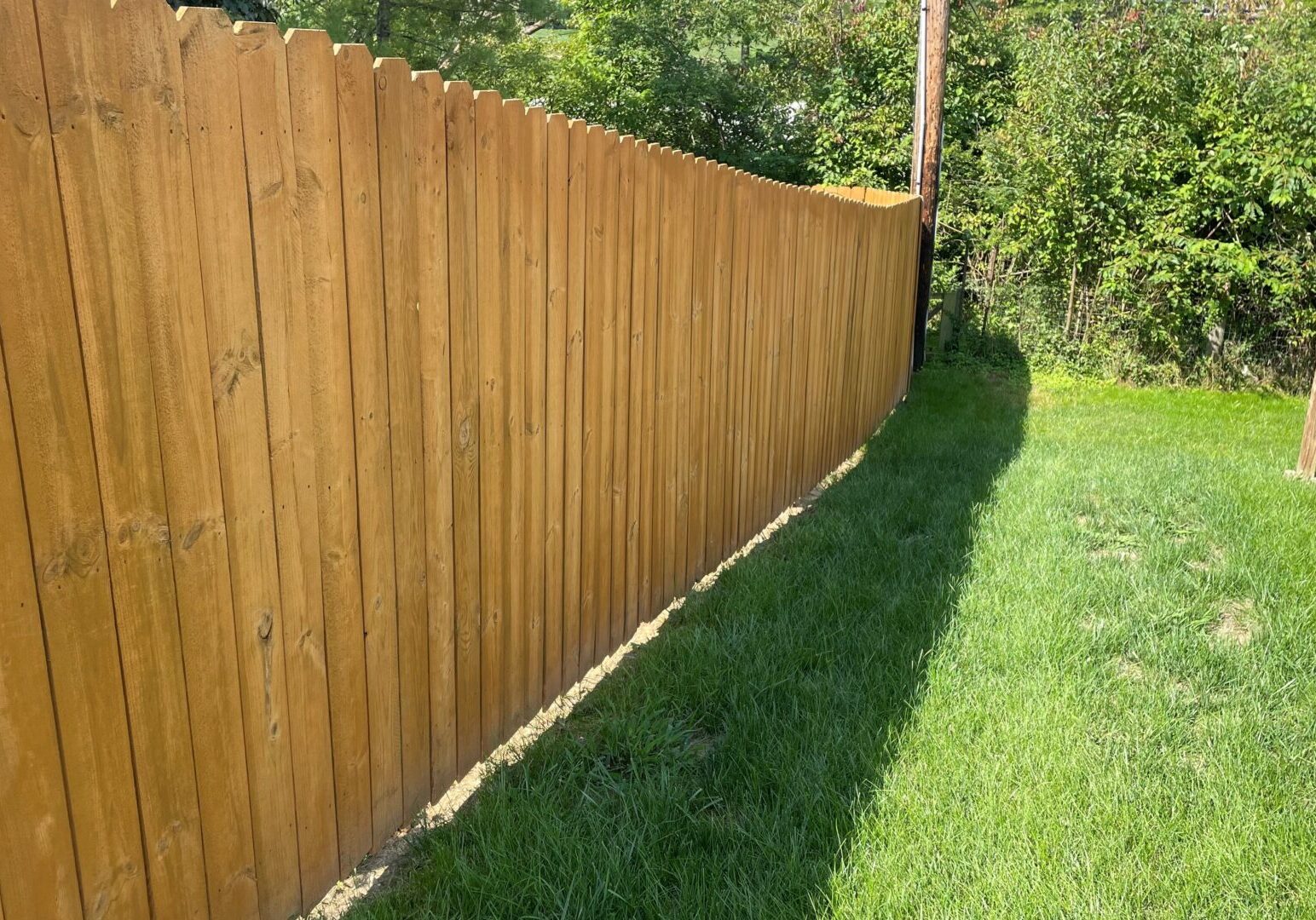fence-cleaning-staining